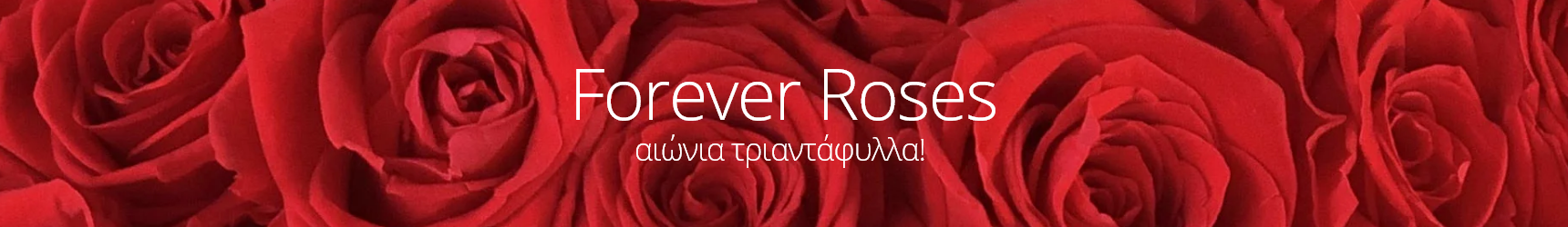 Forever Roses - Αποχυμωμένα