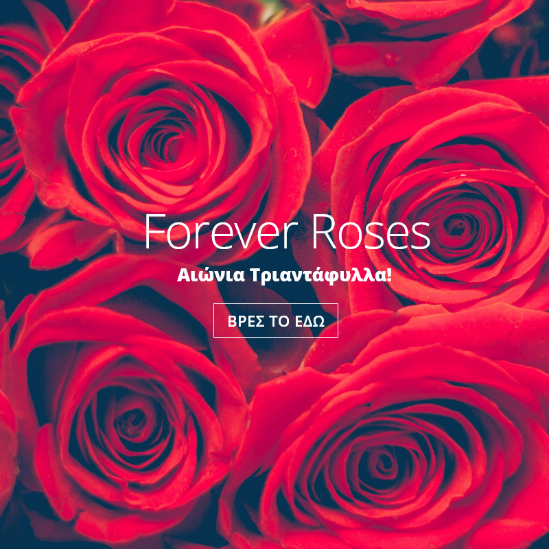 forever-roses-mobile