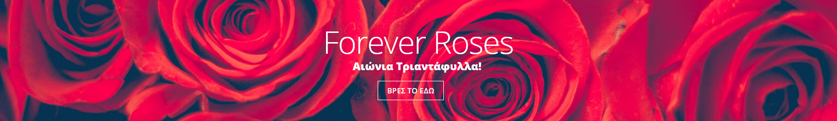 forever-roses